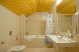 Отель Hutor Hotel Днепр Большой двухместный номер с 1 кроватью-2